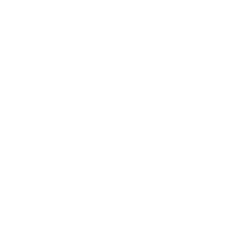 Logo blanc Prestige nettoyage